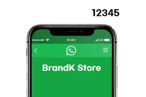 No paper print — ticket sent via message (WhatsApp)